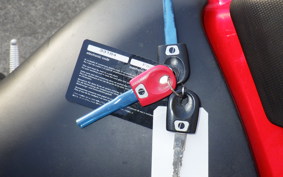 DUCATI MULTISTRADA 1100 S 2009