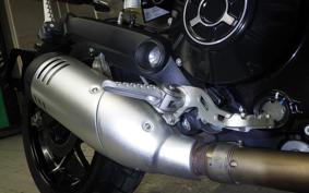DUCATI SCRAMBLER ICON 2021
