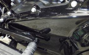 HARLEY FLTRXSE1920CVO 2021