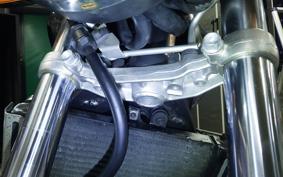 HONDA HORNET 250 MC31