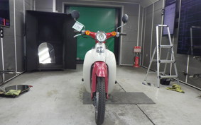 HONDA LITTLE CUB 2022 AA01