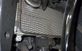SUZUKI GSX250RA