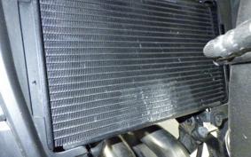 HONDA NX400 2024 NC65