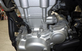 YAMAHA WR250X 2009 DG15J