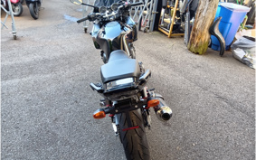 HONDA CB400 SUPER  BOL DOR ABS 2020 NC42