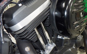 HARLEY XL883N 2018