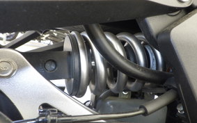 KAWASAKI NINJA 1000SX 2020 ZXT02K