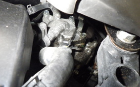 HONDA ﾀﾞﾝｸ 2023 AF78