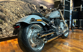 HARLEY  HARLEY FLFBS 2025 YGK