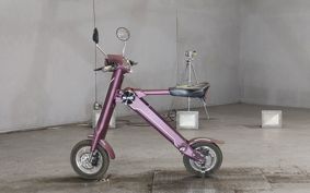 OTHER  BLAZE  SMART EV