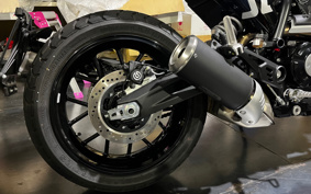 DUCATI SCRAMBLER ICON 2024 7K00