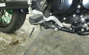 KAWASAKI KLX250D TRACKER X 2026 LX250V