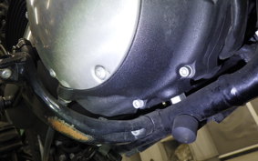 HARLEY XL883N 2015
