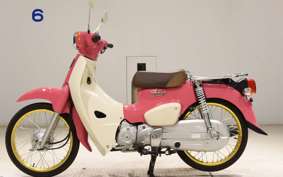 HONDA C50 SUPER CUB 2009 AA09