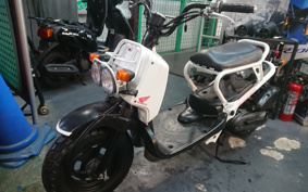 HONDA ZUMAR AF58