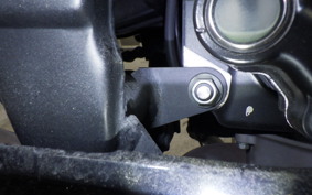 KAWASAKI Z250 2019 ER250C