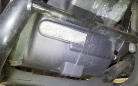 OTHER +ENFIELD ﾒﾃｵ350 2022