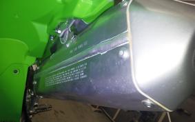 KAWASAKI KX250 2025 KX252E