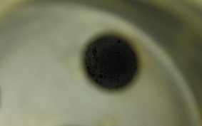 HONDA REBEL 250 S 2004 MC49