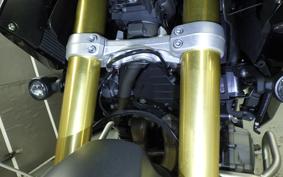 TRIUMPH TIGER 1200 RALLY 2024