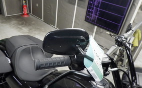 HARLEY FLTRX1920 2024