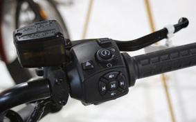 HARLEY  HARLEY RH1250S 2024 ZC4