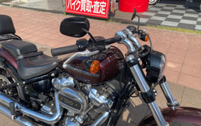 HARLEY FXBRS 2019 YHK