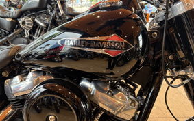 HARLEY FLSL 2019 YDJ
