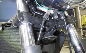 KAWASAKI ZRX1200 D 2011 ZRT20D