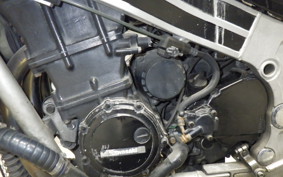 KAWASAKI ZX 10 NINJA 1988 ZXT00B