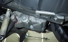 HONDA LEAD 110 2025 JF19