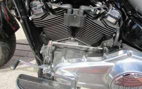 HARLEY FLFBS 2018 YGK