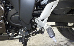 SUZUKI GIXXER 250 SF 2009 ED22Y