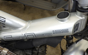 SACHS SPIDER 125