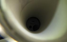 HARLEY FLSTC 1340 1998