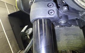 HUSQVARNA SVARTPILEN 401 2024