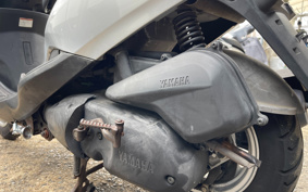 YAMAHA AKUSHI STREET SE53J