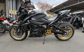 SUZUKI GSX-S1000 2017 GT79B
