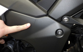 KAWASAKI NINJA1100SX 2025 ZXT10H