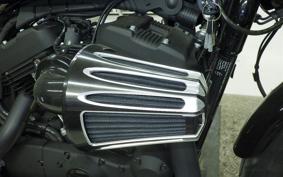 HARLEY XL1200NS 2018