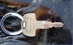 HONDA STEED 400 1994 NC26