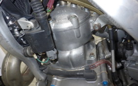 HONDA RTL250R 2019 RTL250RF