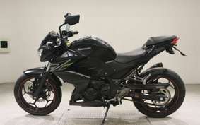 KAWASAKI Z250 2018 ER250C