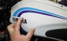 YAMAHA XSR700 2024 RM41J