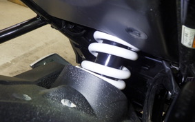 SUZUKI ｼﾞｸｻｰ250 2020 ED22Y