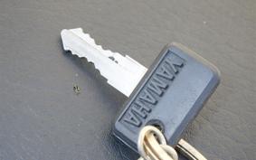 OTHER +ｽﾉｰﾓﾋﾞﾙ 2024