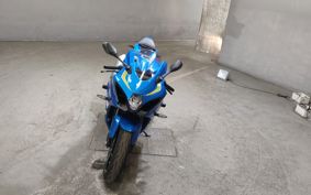 SUZUKI GSX-R1000 2019 DM11A