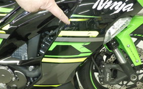 KAWASAKI NINJA ZX-6R A 2019 ZX636G