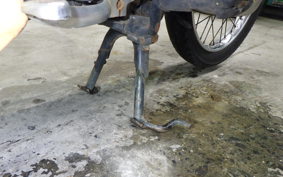 HONDA C50 SUPER CUB 2010 C50