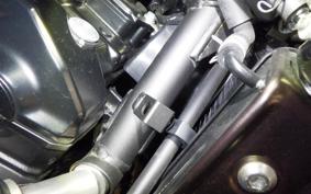 KAWASAKI Z900RS CAFE 2021 ZR900C